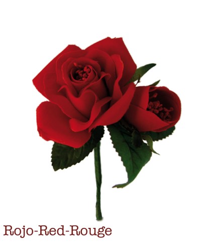 Flamenco flowers