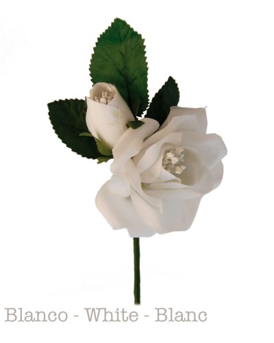 Flamenco flowers