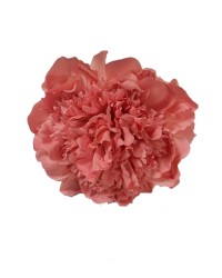 Flamenco Flowers, Big Peonies <b>Colour - Pink, Size - L</b>