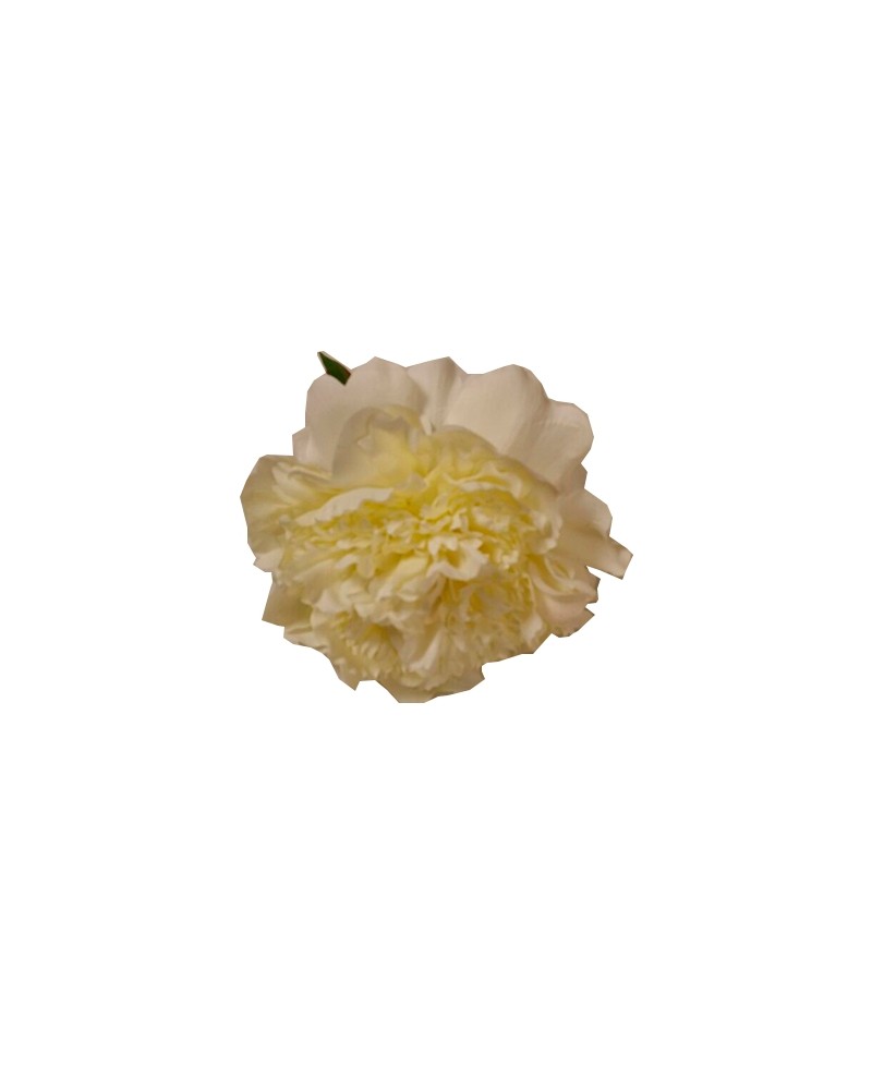 Big flower SE