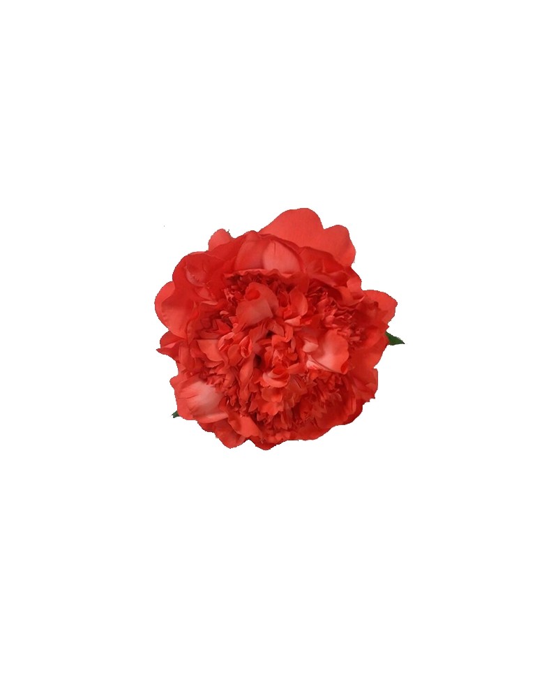 Big flower SE
